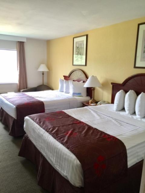 Days Inn & Suites By Wyndham Laurel Near Fort Meade מראה חיצוני תמונה